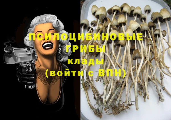 не бодяженный Бородино