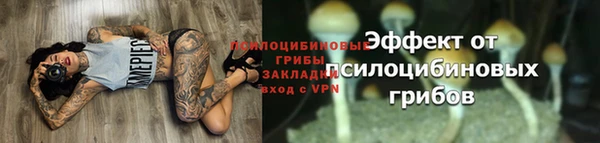 индика Бронницы