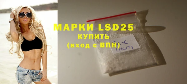 индика Бронницы