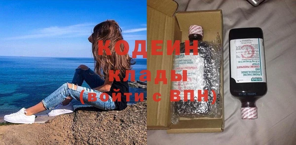 индика Бронницы