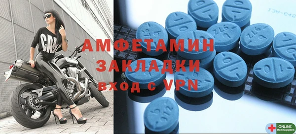 индика Бронницы