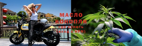 индика Бронницы