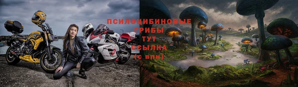 jwh Лиски
