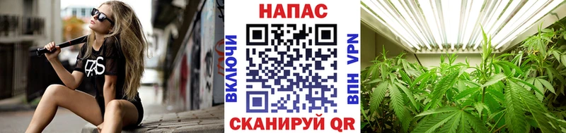 Бошки марихуана THC 21%  Верхоянск 